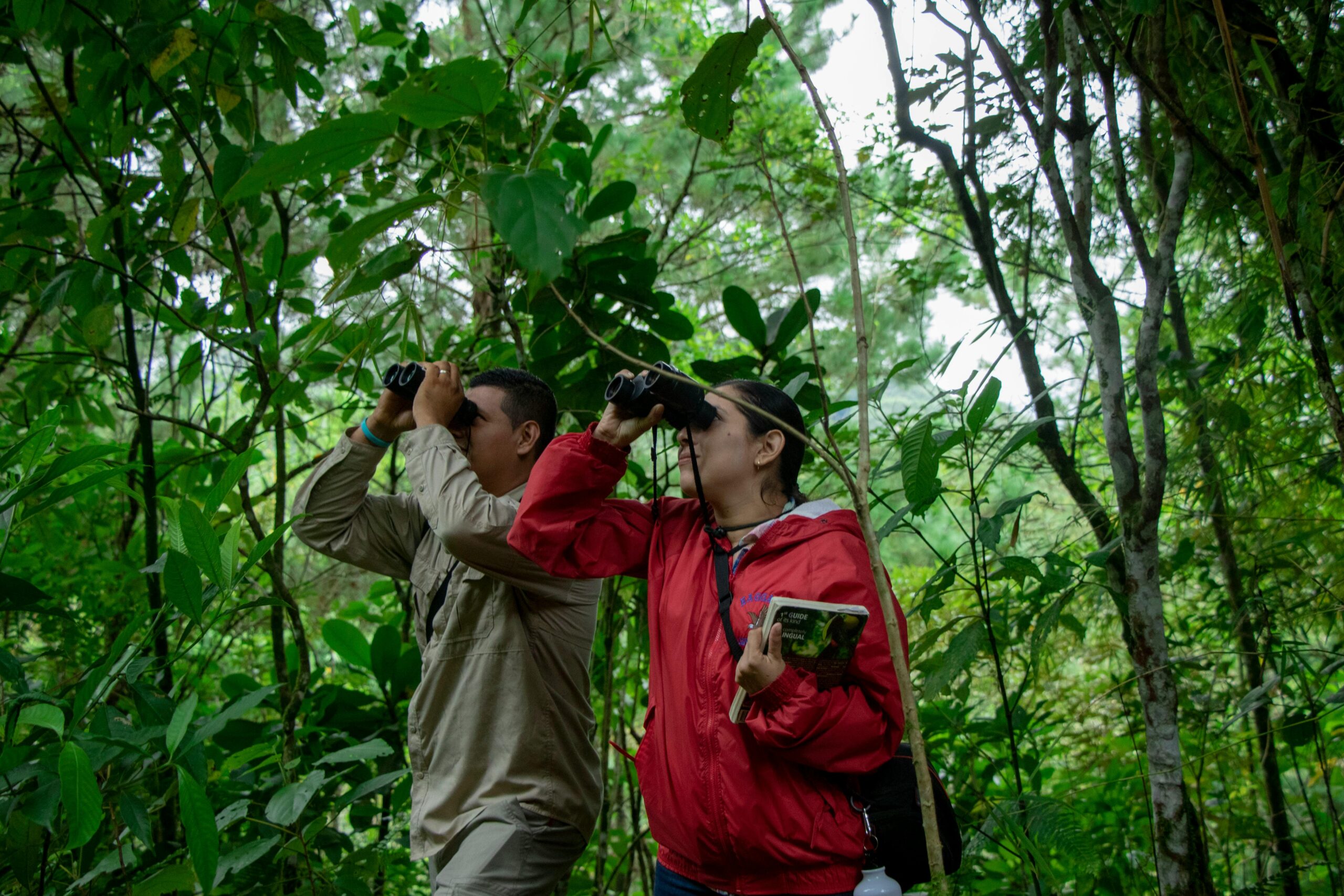 Binoculars for bird watching